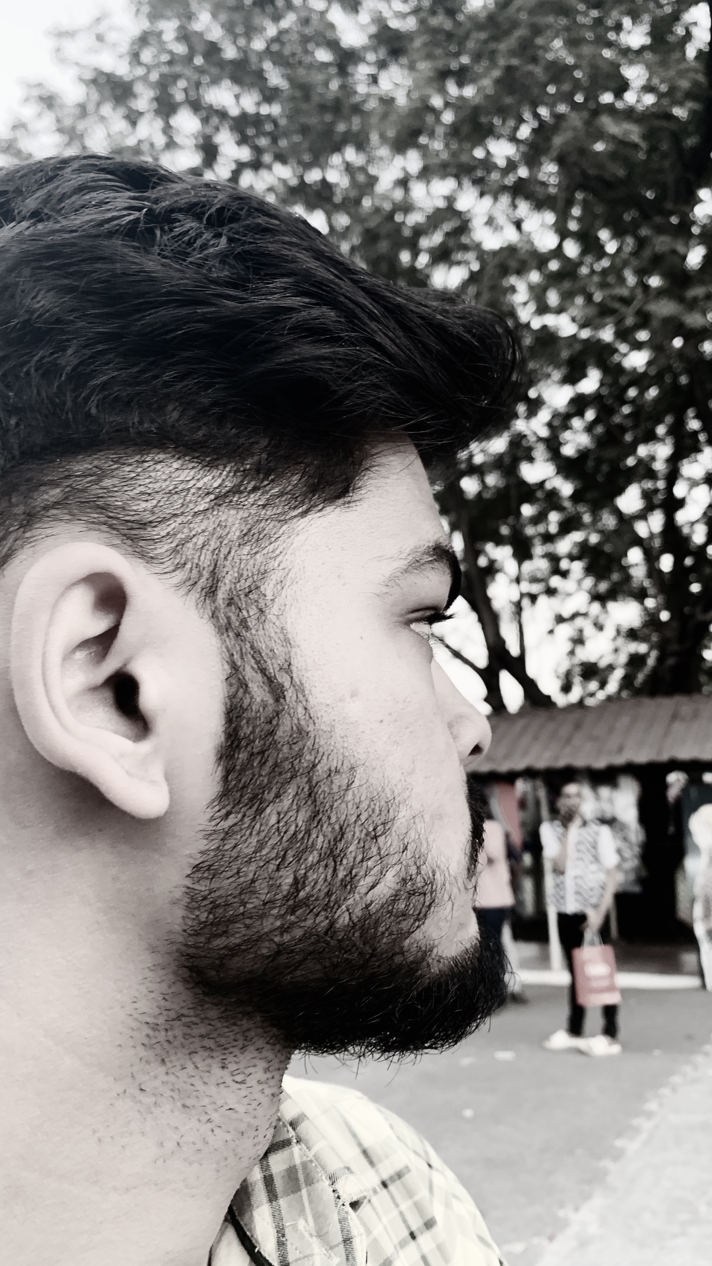 Profile picture